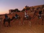 06sahara01.jpg
