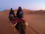 06sahara03.jpg