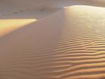 06sahara46.jpg