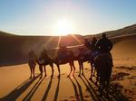 06sahara48.jpg