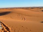 06sahara51.jpg