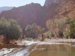 06Gorges-du-Todra03.jpg