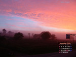 11Nov-mid.jpg