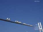 Cal07_05May_mid.jpg