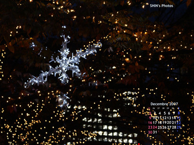 Cal07_12Dec_mid.jpg