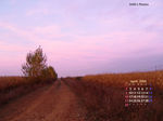 04_April-mid.jpg