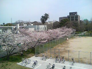 image/shinr-2006-04-06T13:24:27-1.jpg
