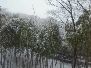 2012022907560000.jpg