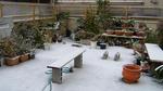 snowday01.jpg