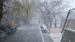 snowday05.jpg